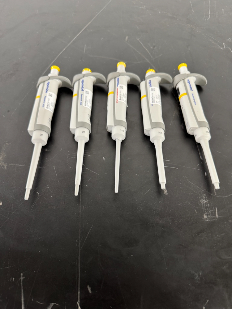 Image of Eppendorf Research Plus Single Channel Pipettes - Quantity 5